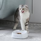 Cat Dog Smart Bowl