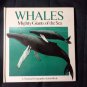 Whales - Mighty Giants of the Sea 3D Pop-up Book (National Geographic Action Book)