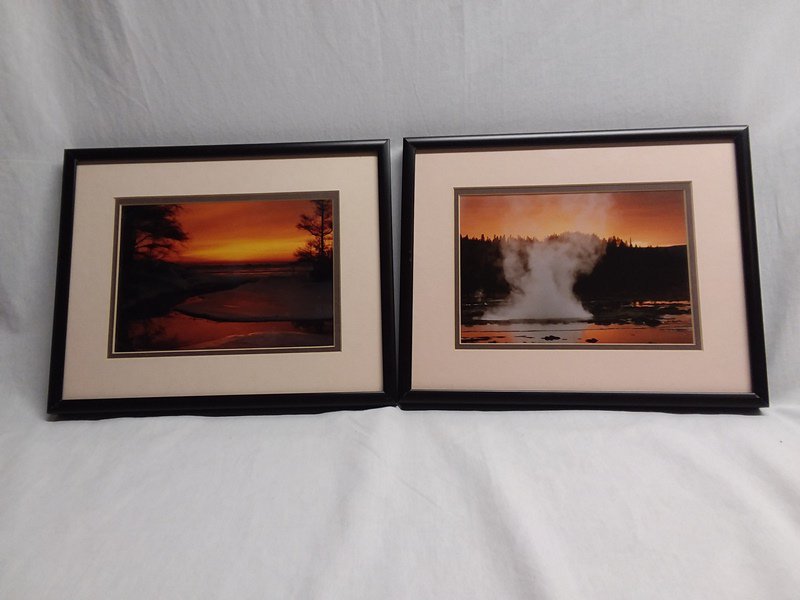 Framed Nature Prints Set of 2