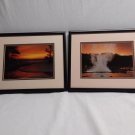 Framed Nature Prints Set of 2