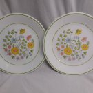 Corelle Spring Meadow Lunch/Salad Plates