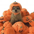 Pet Hat Halloween Pumpkin