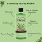 Hemp Seed Oil Body Wash with USDA Aloe Vera-500ml