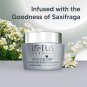 Lotus Herbals White Glow Skin Whitening and Brightening Nourishing Night Crème | 60g
