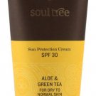 Soul Tree Sun Protection  With Aloe Vera & Green Tea,SPF 30 PA+++  (100 g) pack of 2