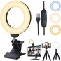 Video Conference Lighting Kit, Ring Light for Computer