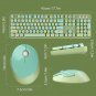 Green Wireless Keyboard and Mouse Combo, 2.4G USB Ergonomic Keyboard