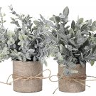 4 Pcs Mini Plants Artificial Potted Set Fake Green Grass Plant Faux