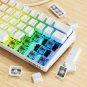 60% Mechanical Gaming Keyboard with PBT Pudding Keycaps