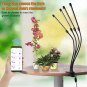 LED Grow Light for Indoor Plants, 80W LED Plant Grow Lights with 80 LEDs