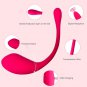 Smart Kegel Balls for Women with APP Kegel Exerciser Remote Control Silicone Kegel