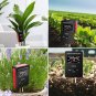 Soil pH Meter, FV03 Upgraded Large Screen Soil Moisture/Sunlight/pH