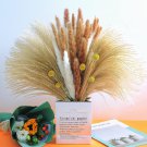 15 Pcs White Pampas& 15 Pcs Brown Pampas & 30 Pcs Reed Grass & 5 Pcs.Billy Balls