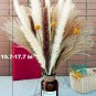 15 Pcs White Pampas& 15 Pcs Brown Pampas & 30 Pcs Reed Grass & 5 Pcs.Billy Balls
