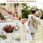 15 Pcs White Pampas& 15 Pcs Brown Pampas & 30 Pcs Reed Grass & 5 Pcs.Billy Balls