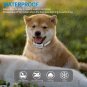 Dog Bark Collar