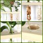 Wall Hanging Planter