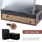 Vinyl Record Player, Dual Bluetooth Turntable for Vinyl Records with Built-In Sp
