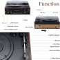 Vinyl Record Player, Dual Bluetooth Turntable for Vinyl Records with Built-In Sp