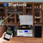 10 in 1 Record Player with External Speakers,3 Speed Bluetooth Turntable Vinyl P