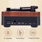 Vinyl Record Player, Vintage Portable Phonograph Belt Drive Turntable, with 2 Bu
