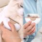 Cat Brush, Cat Comb for Grooming, Kitten Massager Brushes and Deshedding Tool Se