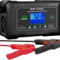 25 Amp Lithium Battery Charger, 12V and 24V Lifepo4,Lead-Acid(Agm/Gel/Sla.) Batt