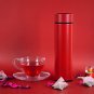 Insulated Water Bottle with LED Real-Time Temperature Display, Stainless Steel P