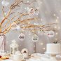 48 Pcs 3 Inch Clear Acrylic Christmas Ornaments Blanks round Clear Flat Acrylic