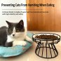 Elevated Cat Bowlsï¼Raised Cat Food Bowlsï¼Ceramic Raised Cat Food Bowlï¼Anti Vomit