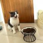 Elevated Cat Bowlsï¼Raised Cat Food Bowlsï¼Ceramic Raised Cat Food Bowlï¼Anti Vomit