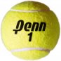 Championship Tennis Balls - Extra Duty Felt Pressurized Tennis Balls
