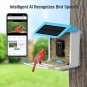 Bird Feeder with Camera, Smart Bird Feeder Camera, AI Identify Bird Species, Aut