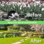 Cat Repellent Outdoor 10 Pack Natural Cat Deterrent Indoor to Keep Cats Out of Y