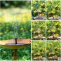2.5W Solar Bird Bath Fountain Pump, Solar Fountain Pump for Bird Bath with 6 Noz