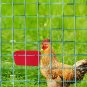 12 Pack Feeder Waterer Chicken 21 Oz Food Water Cage Cups Rabbit Puppy Cat Hangi