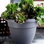 8 Inch Caribbean round Planter - Lightweight Indoor Outdoor Plastic Plant Pot wi