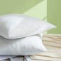 16X16 100% Feather Throw Pillows Insert (Pack of 2, White), Bed and Couch Decora