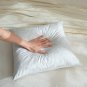 16X16 100% Feather Throw Pillows Insert (Pack of 2, White), Bed and Couch Decora