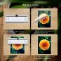 7 in 1 Laminator, Laminator Machine for A3/A4/A6, Laminator Machine with Laminat