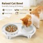Elevated Cat Slow Feeder Bowl: Anti-Vomiting Bloat Stop Raised Food & Water Bowl