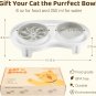 Elevated Cat Slow Feeder Bowl: Anti-Vomiting Bloat Stop Raised Food & Water Bowl