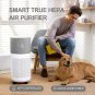 Cleanforce Rainbow H13 True HEPA Air Purifier for Home Large Room, Bedroom, up t