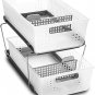 2-Tier Plastic Multipurpose Organizer with Divided Slide-Out Storage Bins, under