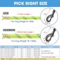 BAAPET 2/4/5/6 FT Dog Leash with Comfortable Padded Handle and Highly Reflective
