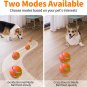 Interactive Dog Toys for Boredom and Stimulating with Remote Control LED Lights,