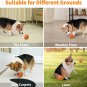 Interactive Dog Toys for Boredom and Stimulating with Remote Control LED Lights,