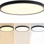 15.7 Inch LED Flush Mount Ceiling Light Fixture, 3000K-6500K LED Ceiling Light C