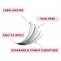 1000Pcs Premade Fans Eyelash Extensions,10D 0.07Mm D Curl ,Premade Lash Extensio
