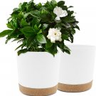 Plant Pots Set of 2 Pack 10 Inch,Planters for Indoor Plants with Drainage Holes